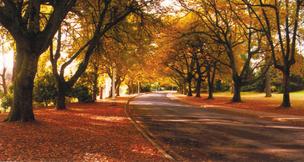 The Grand Oaks Resort Beechworth Kültér fotó